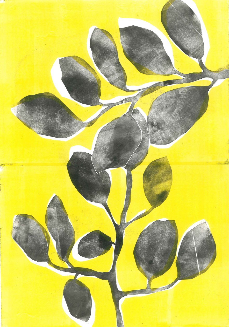 夏日花园 IV》，2015 年（纸上单版画） 作者 史蒂芬·道
