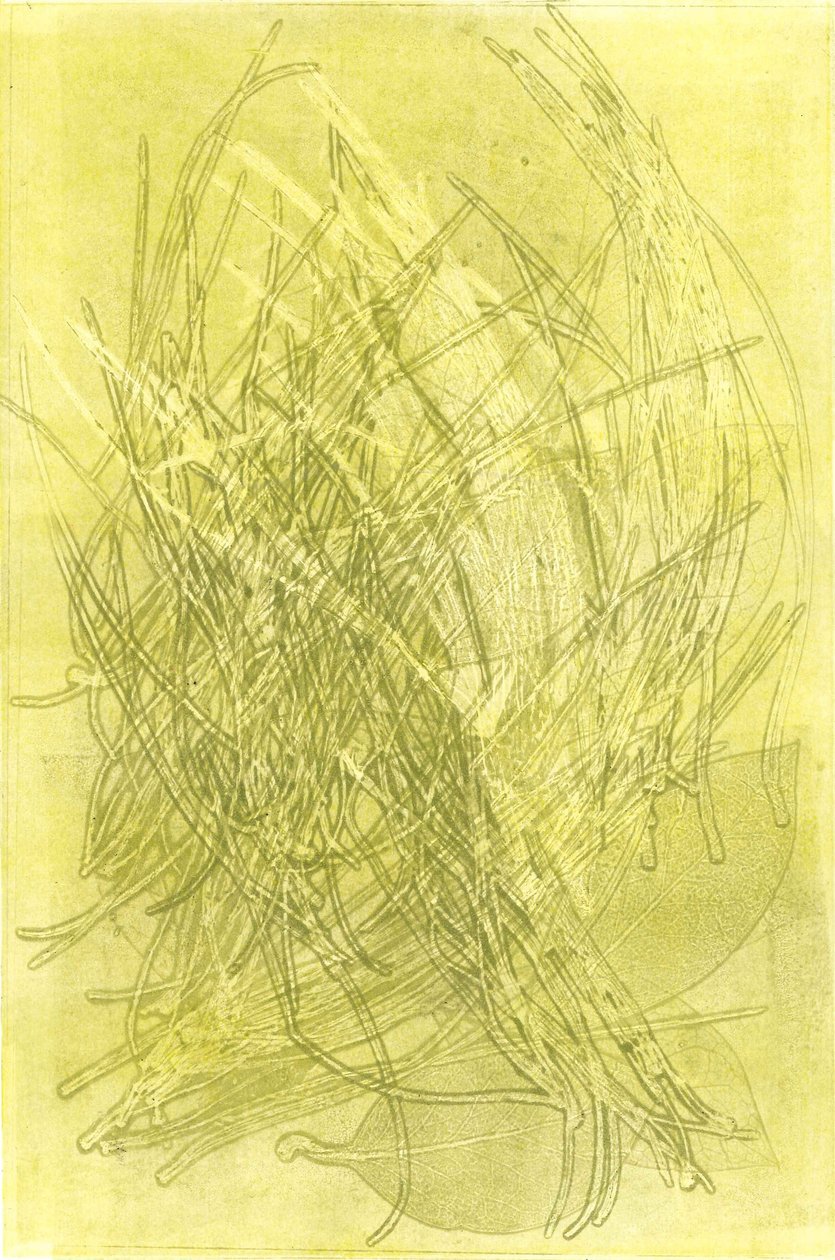 夏日花园 V》，2015 年（纸上单版画） 作者 史蒂芬·道
