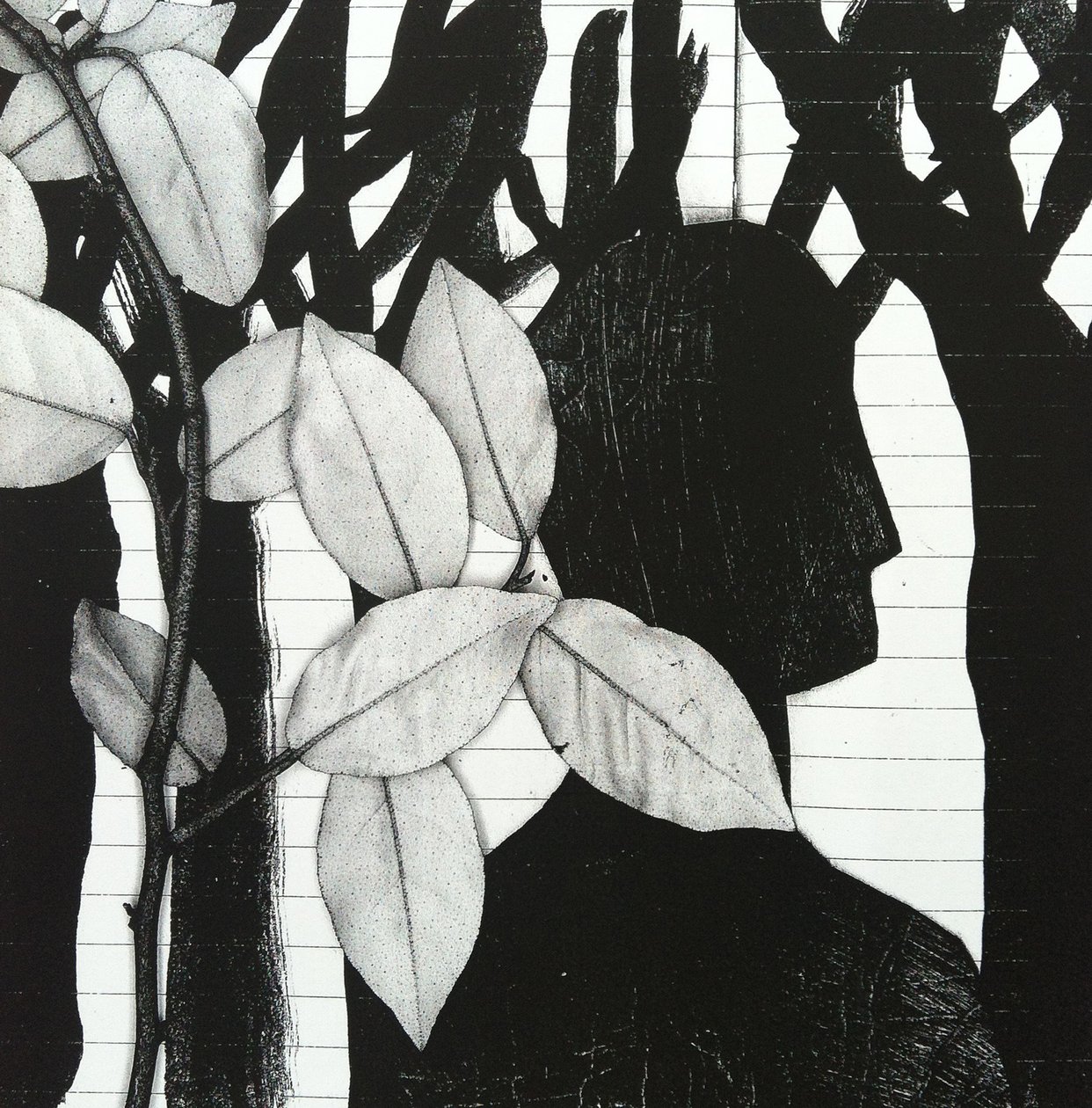 森林，2014 年（拼贴画） 作者 史蒂芬·道