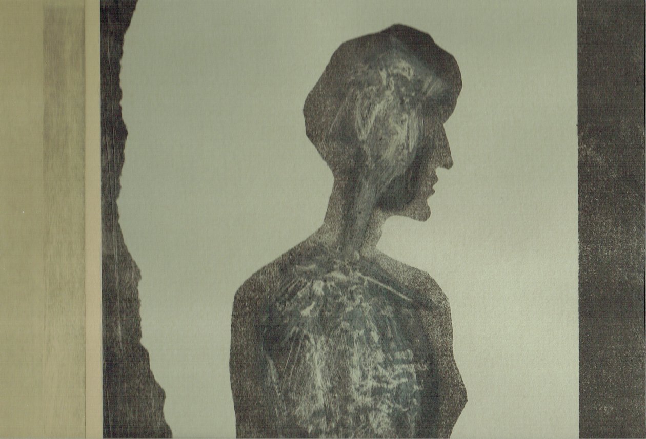 la Foret XII, 2017（拼贴画） 作者 史蒂芬·道