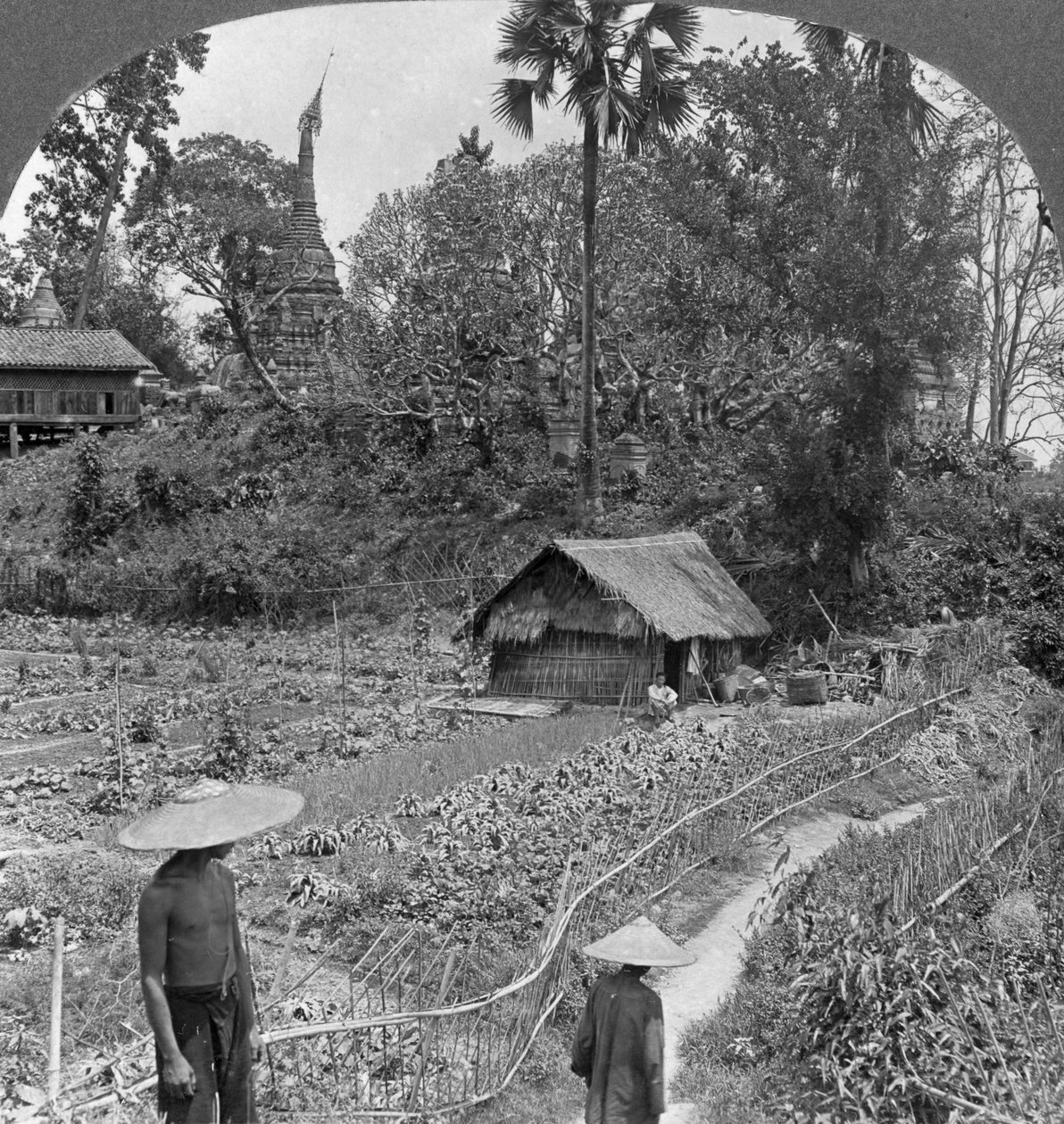 1908年，缅甸巴莫，宝塔中的菜园 作者 立体声旅行社