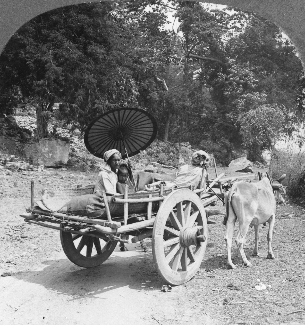 1908年，家庭穿越缅甸明贡附近的丛林 作者 立体声旅行社