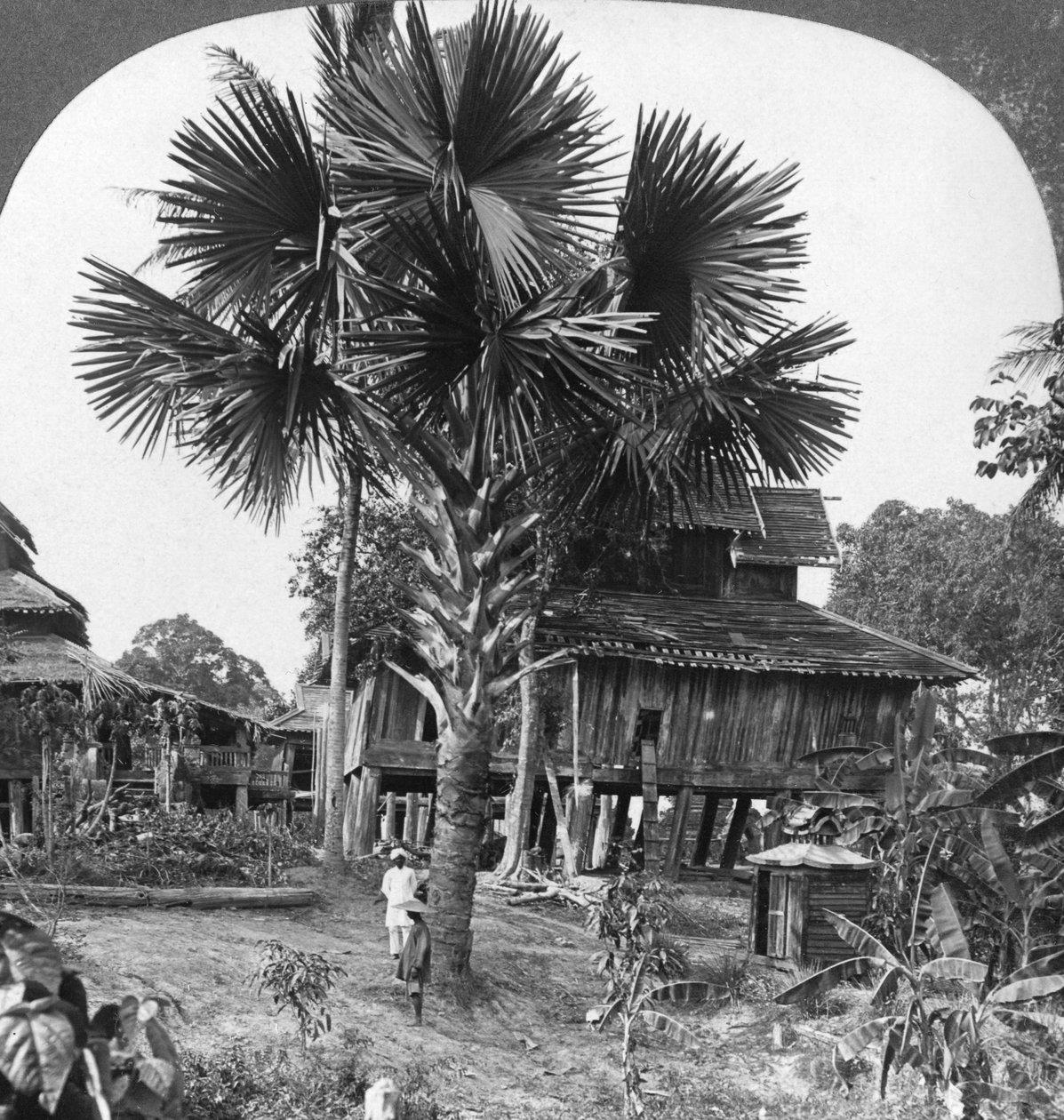 缅甸巴哈莫，建在桩上的土豪房屋，1908年 作者 立体声旅行社