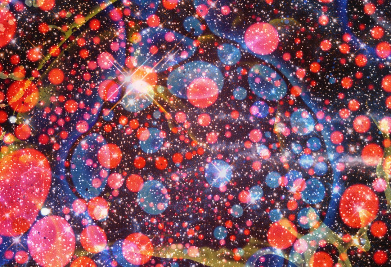 多元宇宙》第 6 期，2024 年 作者 史蒂夫·帕夫洛夫斯基