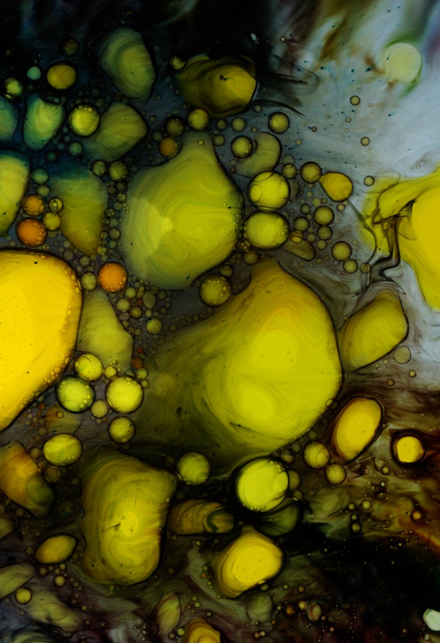 油画，2024 年 作者 史蒂夫·帕夫洛夫斯基