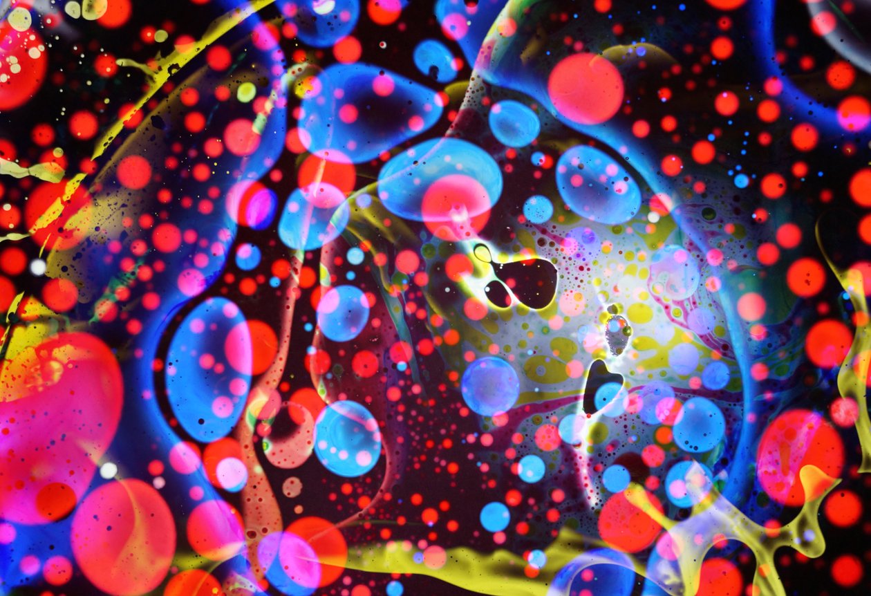 Technicolor, 2024 作者 史蒂夫·帕夫洛夫斯基