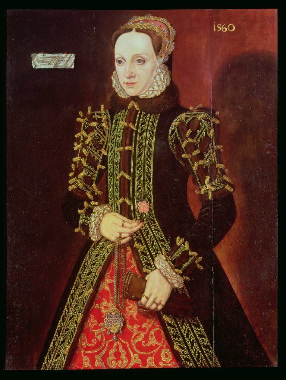 1560年，林肯伯爵夫人伊丽莎白菲茨杰拉德 作者 史蒂文·范德·梅伦