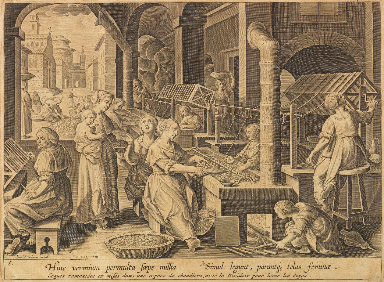 丝绸提取 Vermis sericus，1640年后。 作者 斯特拉达努斯