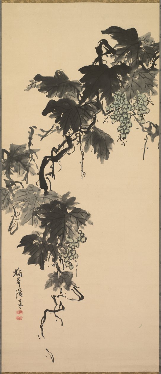 葡萄 作者 菅井百看