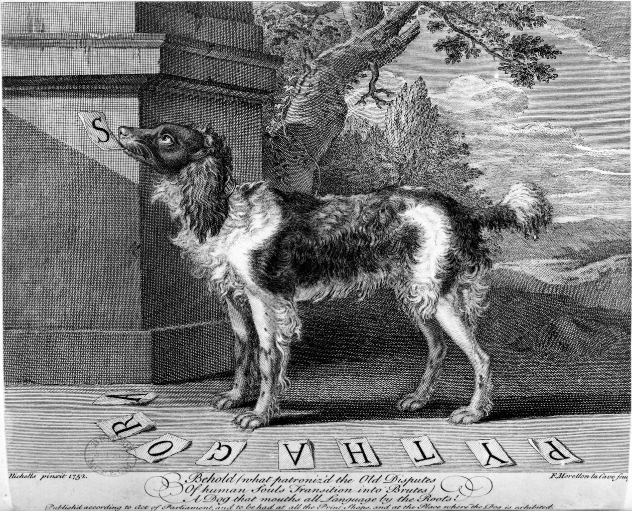 1752年由F-Morellon la Cave制作的New Chien Savant或Learned Dog 作者 萨顿·尼科尔斯