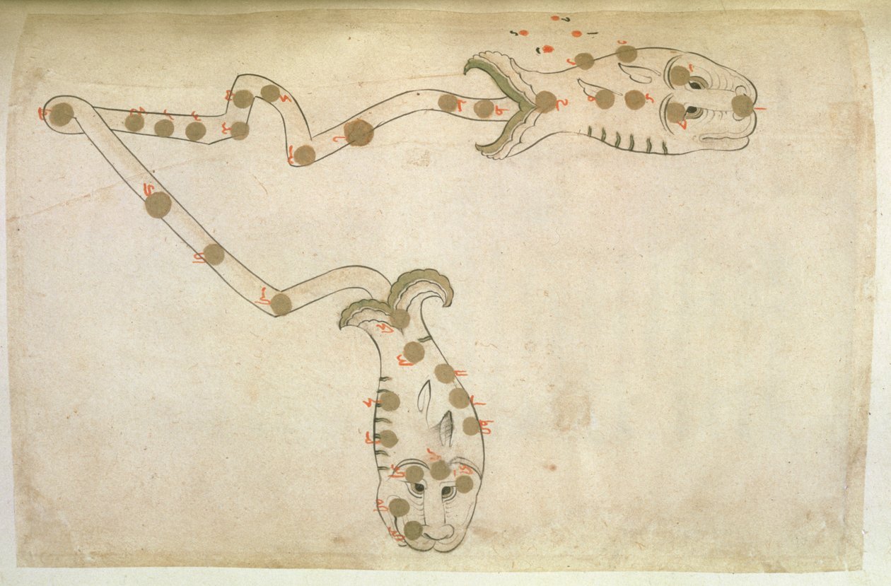 黄道十二宫的代表：双鱼座，鱼类，1497-1498（903 Hijra） 作者 苏瓦·卡瓦吉卜（Suvar Al Kavakib）