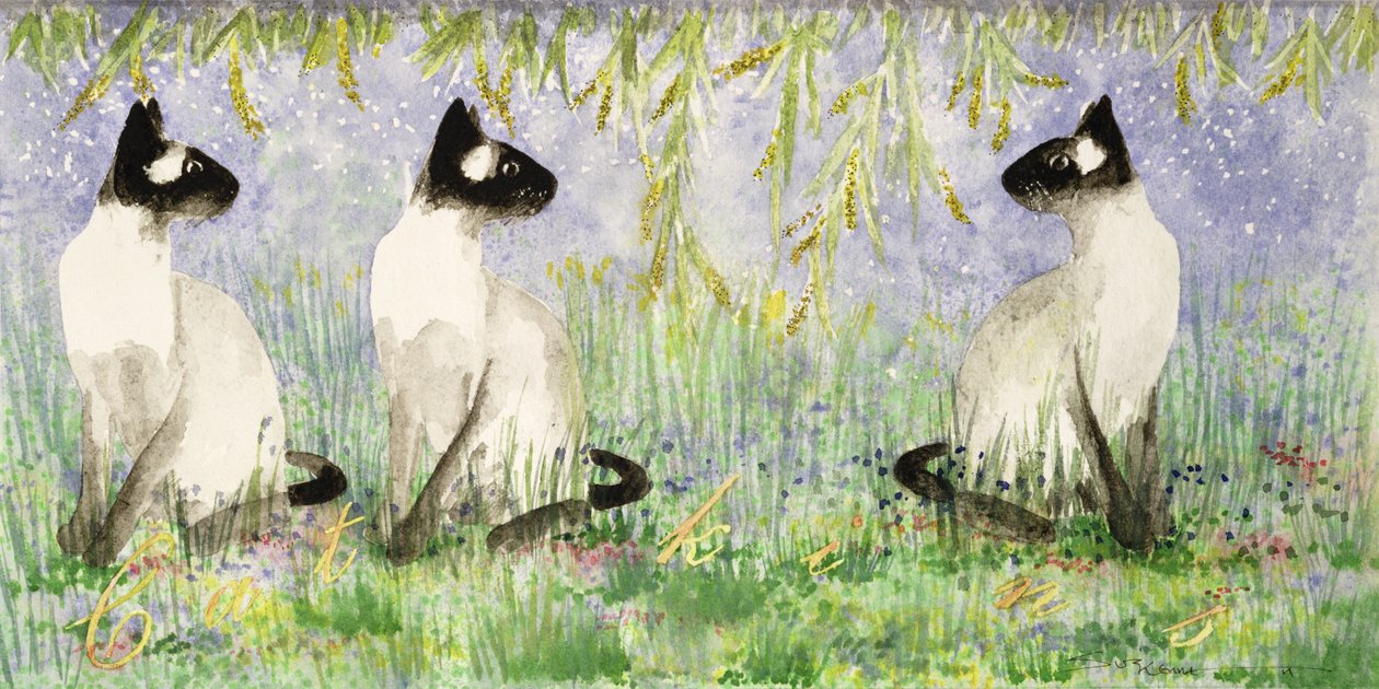 Cat Kins（纸上的wc） 作者 苏兹·肯尼特