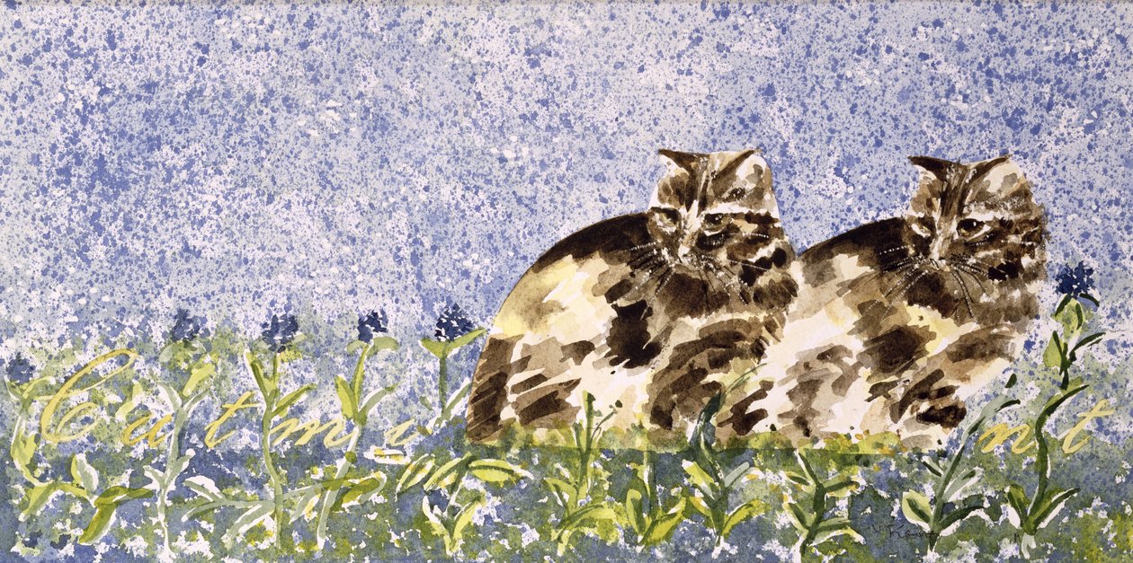 猫薄荷（纸上wc） 作者 苏兹·肯尼特