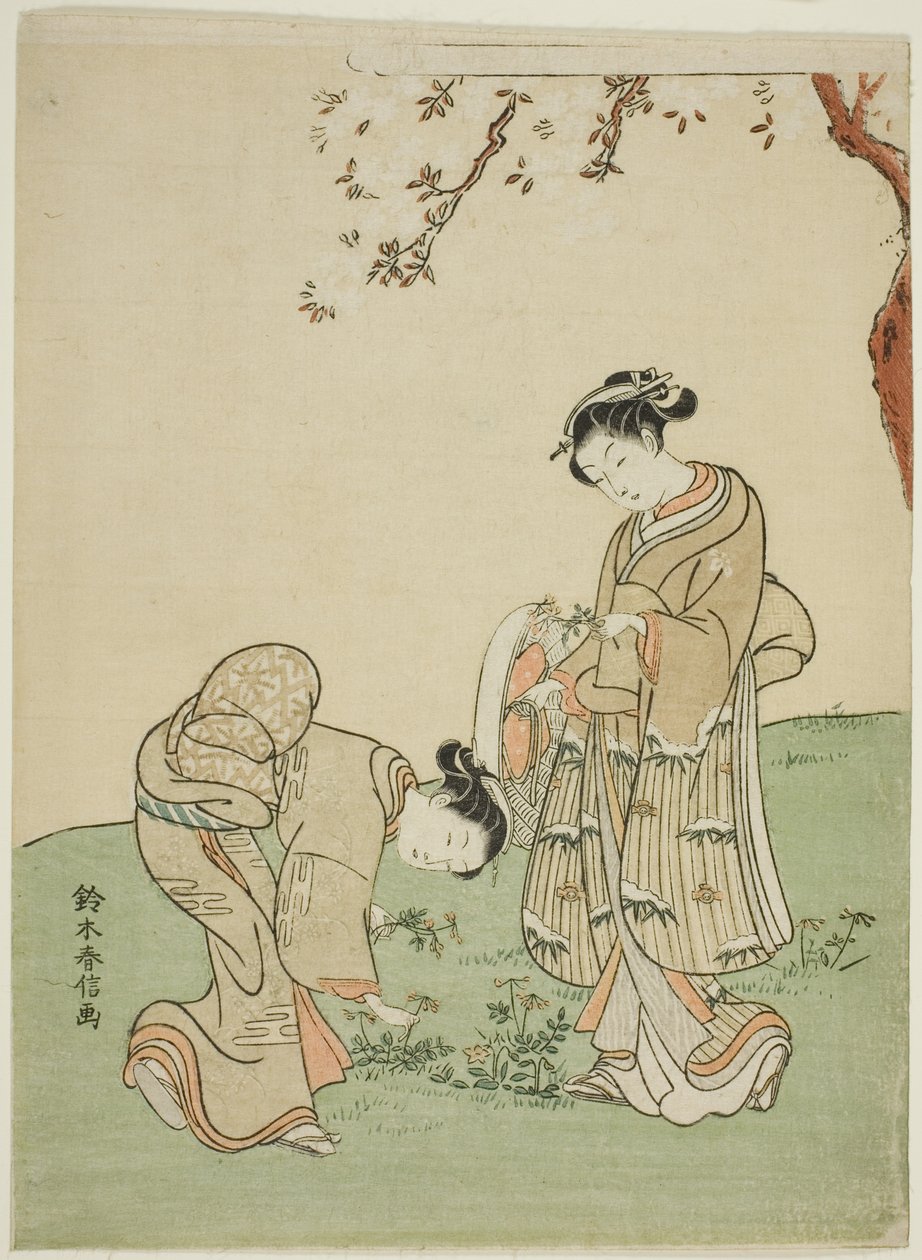 采集春花 作者 铃木春信