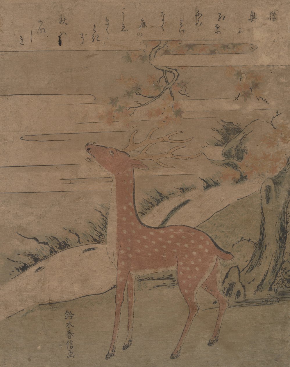 The Cry of the Stag, ca.1760., ca.1760. 作者 铃木春信