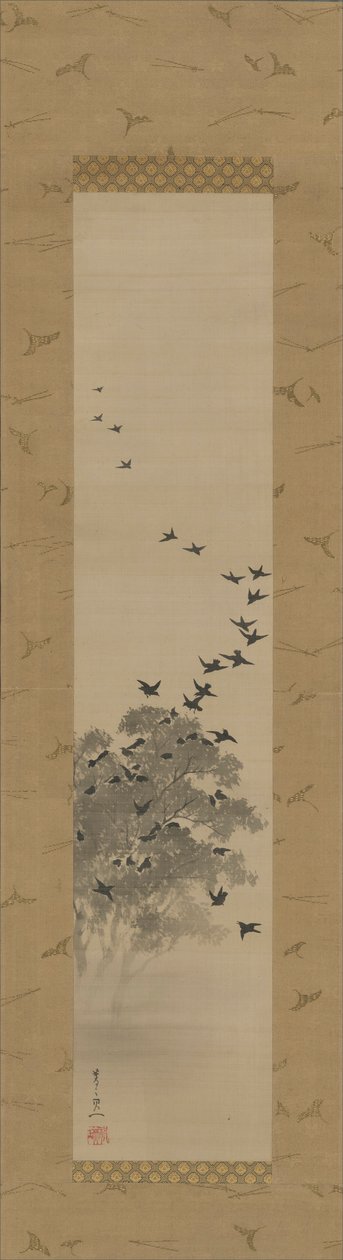 黑鸟 作者 铃木纪津