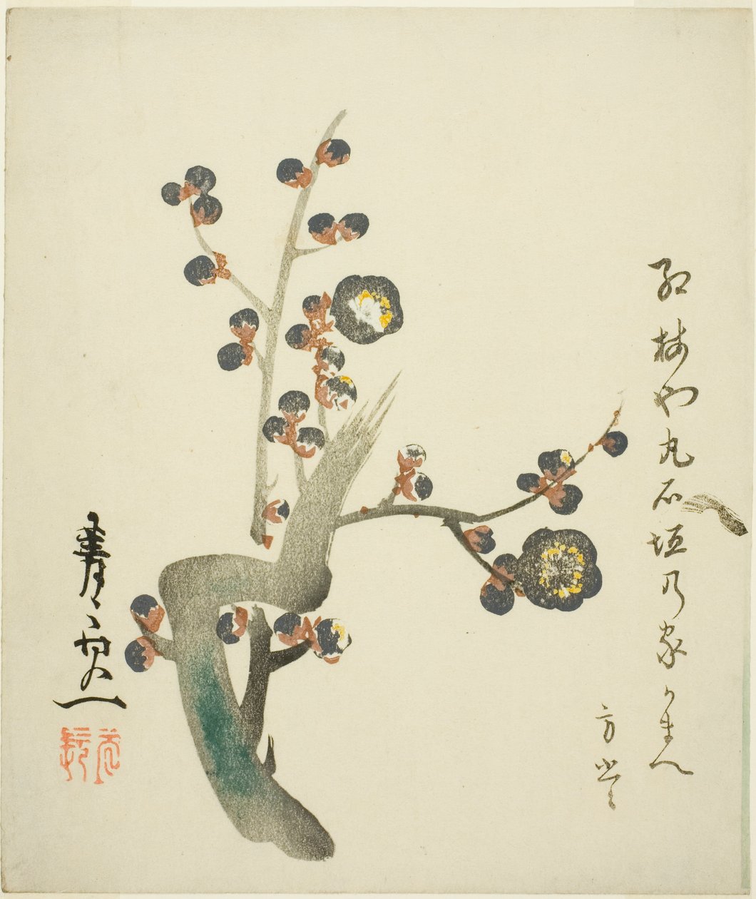 盛开的红梅枝 作者 铃木纪津
