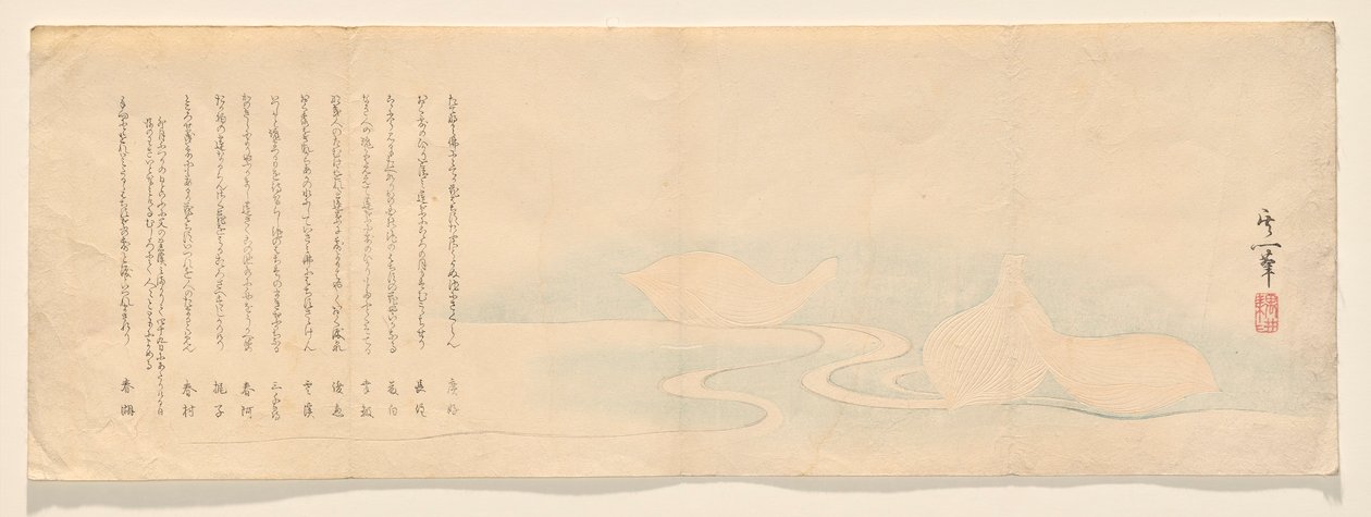 溪水中漂浮的莲花瓣 作者 铃木纪津