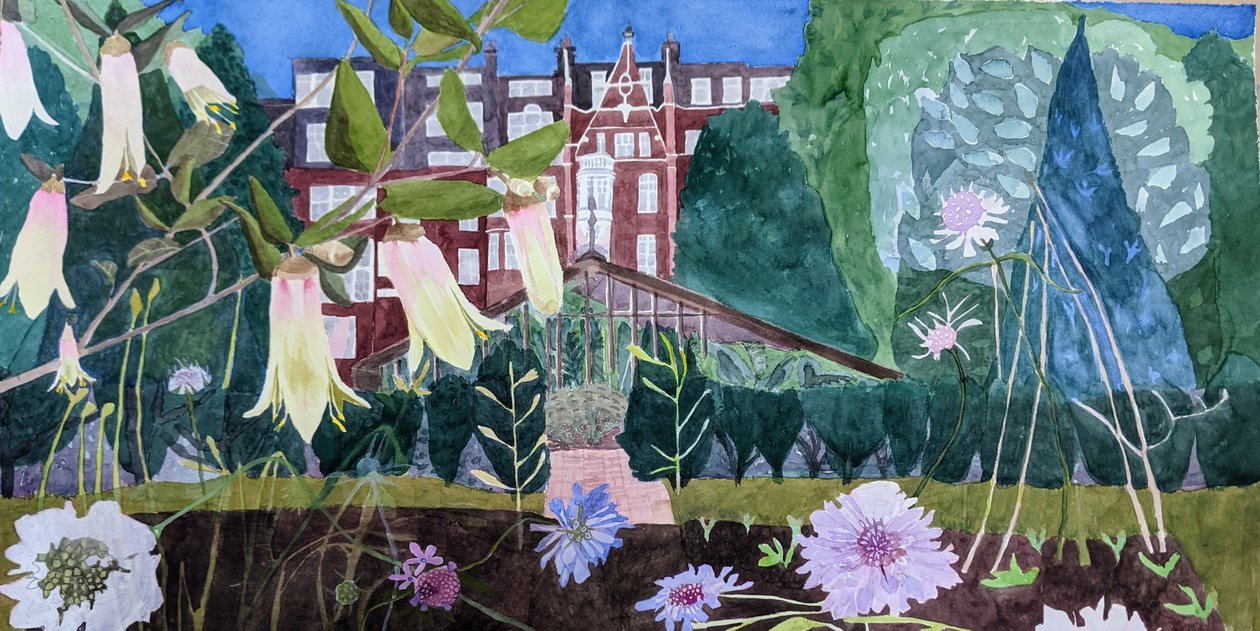 神奇的花园，2021 年（纸面水彩画） 作者 