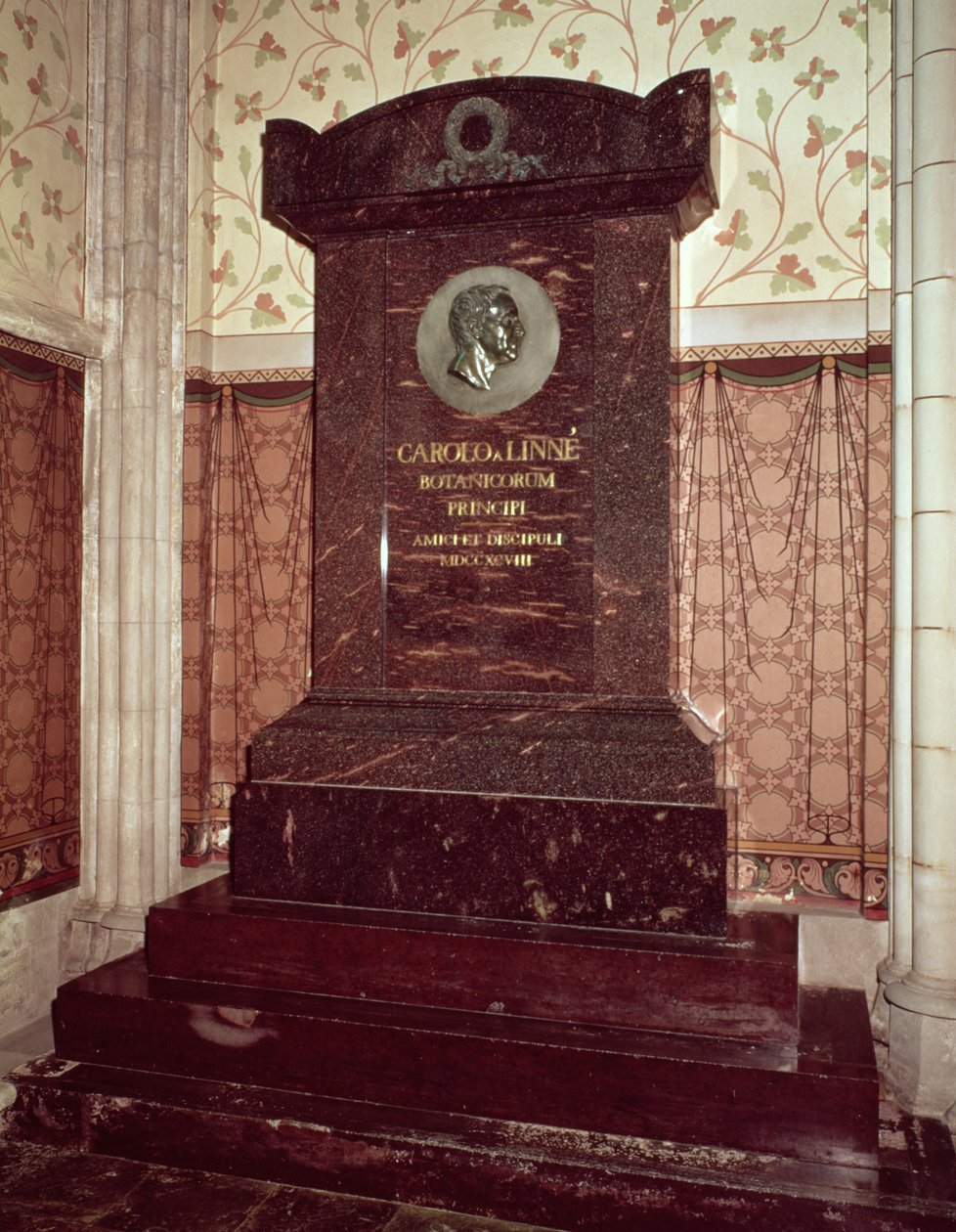 Carl Linnaeus墓（1707-78） 作者 瑞典学校