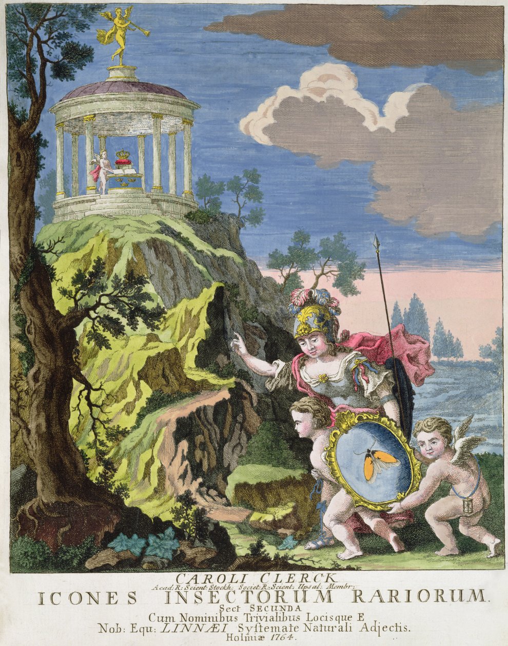 昆虫版画由Koch，瑞典，1764的图标卷首 作者 瑞典学校