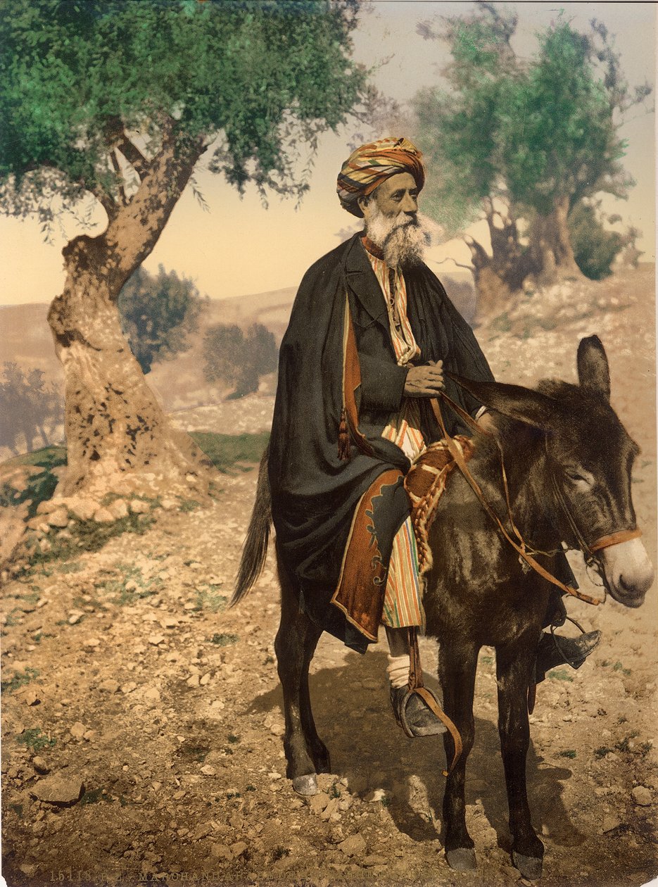 来自伯利恒的阿拉伯男子，他的驴，1880-1900（photochrom） 作者 瑞士摄影师