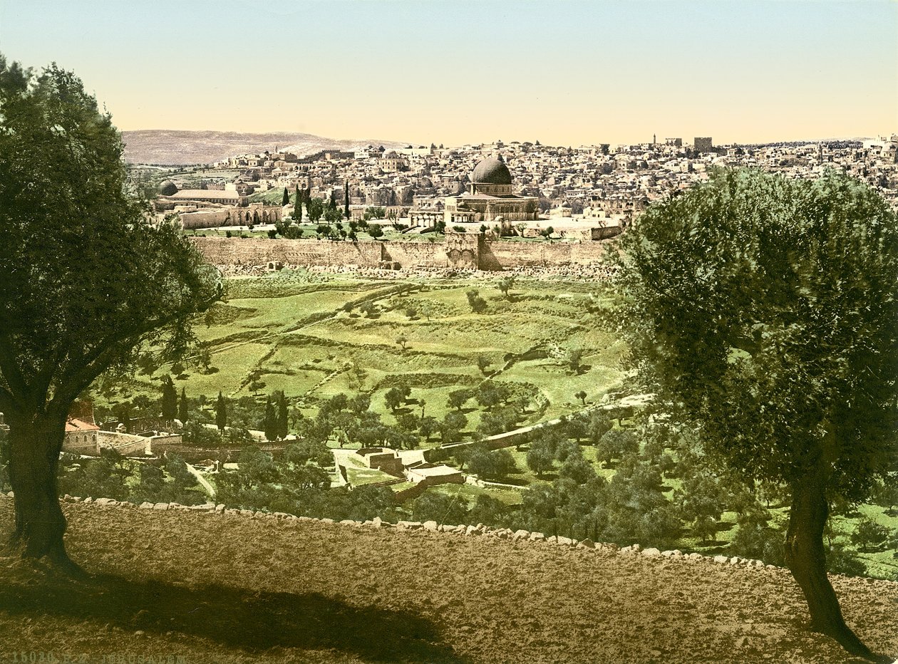 从东方看耶路撒冷的全景，1880-1900（photochrom） 作者 瑞士摄影师
