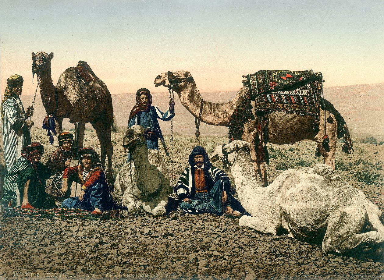 西方旅行者在约旦河谷扮演贝都因人和他们的骆驼导游，1880-1900（photochrom） 作者 瑞士摄影师