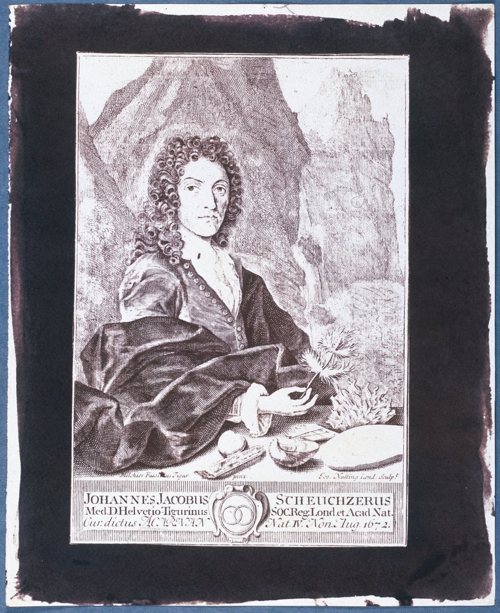 Johann Jakob Scheuchzer 作者 瑞士学校