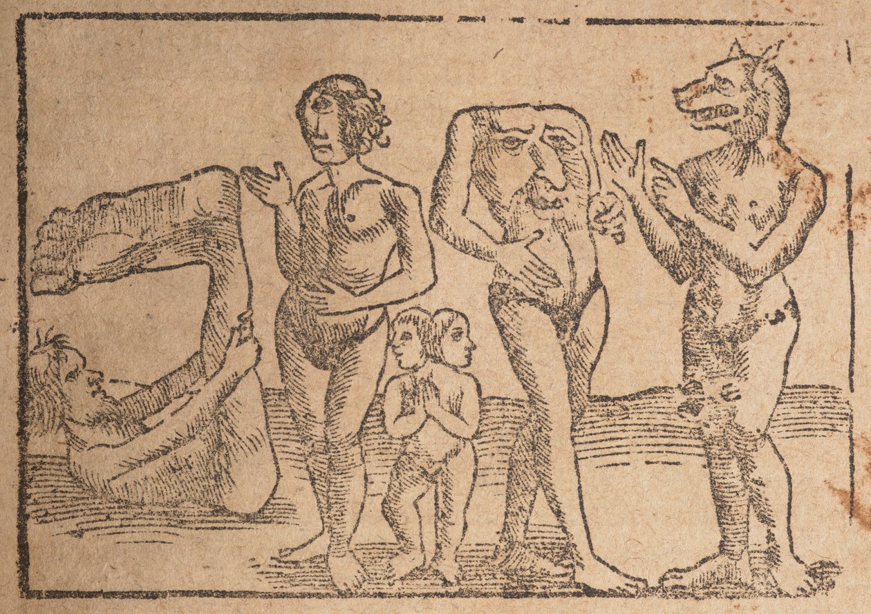 来自 "Cosmographey: that is description of all countries "一页的版画 作者 瑞士学校
