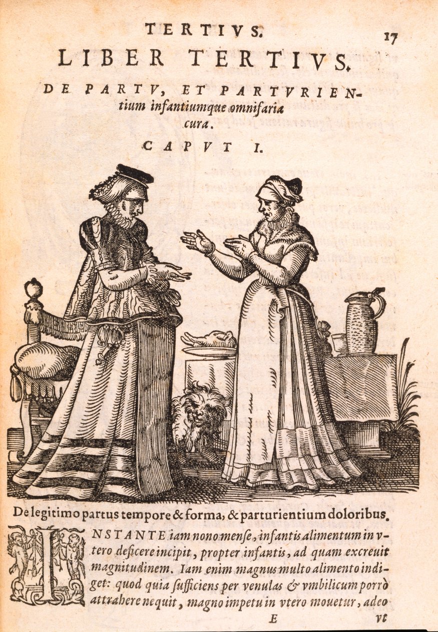 护士照顾患者受伤的手，来自Jacob Ruf的De Concepta et Generatione Hominis，1587年（纸上印刷和木刻） 作者 瑞士学校