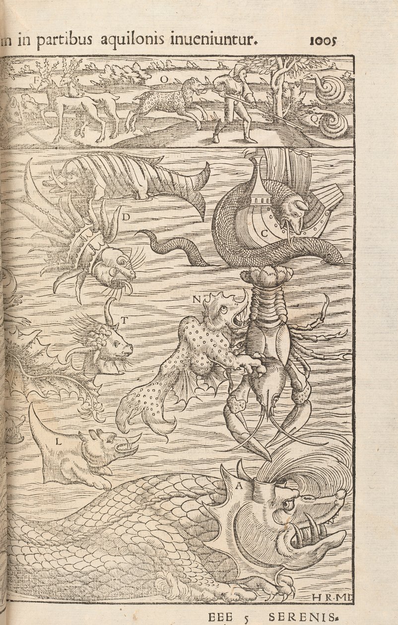 来自Cosmographiae Universalis的第1005页，作者：Sebastian Muenster，巴塞尔，1572年 作者 瑞士学校