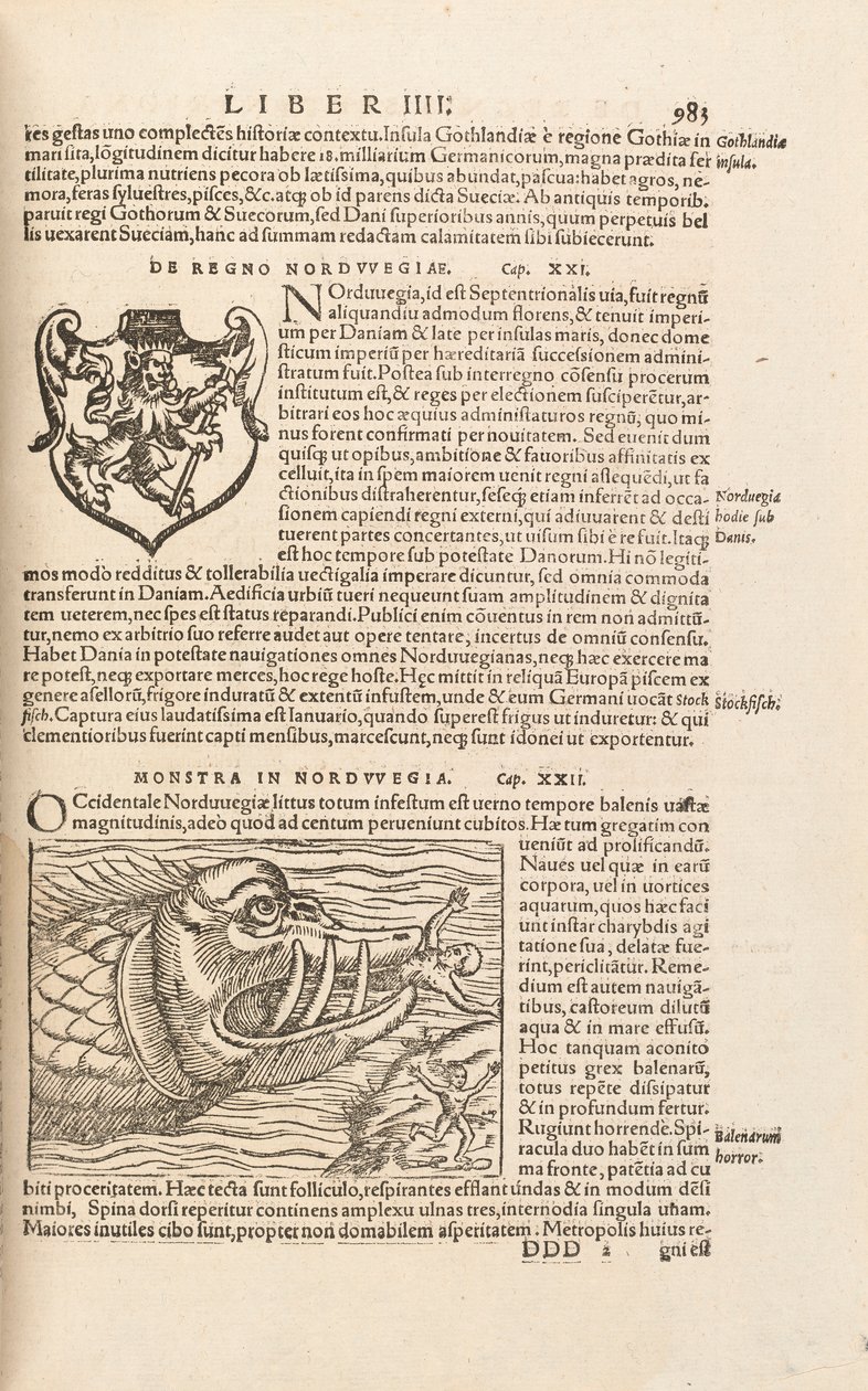 Page 983来自Cosmographiae Universalis，作者：Sebastian Muenster，巴塞尔，1572年 作者 瑞士学校