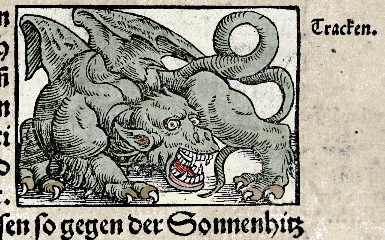 龙的表现：来自 Johann Stumpff 的“Den Edlen Strengen Beste Fromen”的版画。 1550 作者 瑞士学校