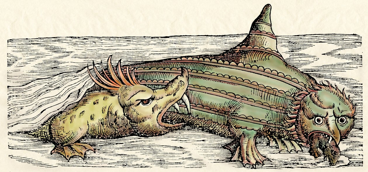 海洋生物，康拉德-格斯纳《动物史》插图 作者 瑞士学校