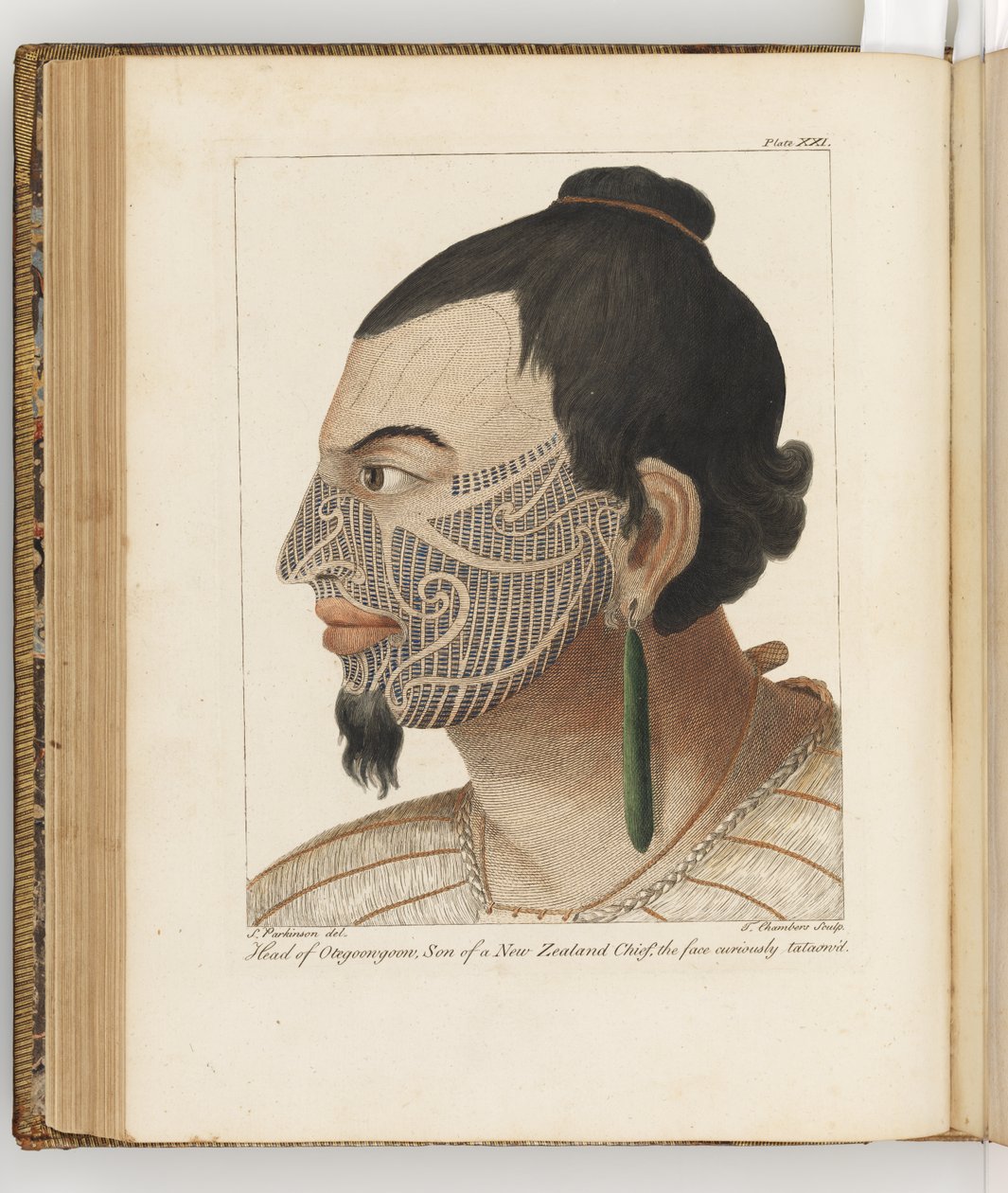 Otegoongoon的负责人，插图来自“南海之旅”：在他的Majestys船上，奋进号，1794年（手工彩色雕刻） 作者 雪梨