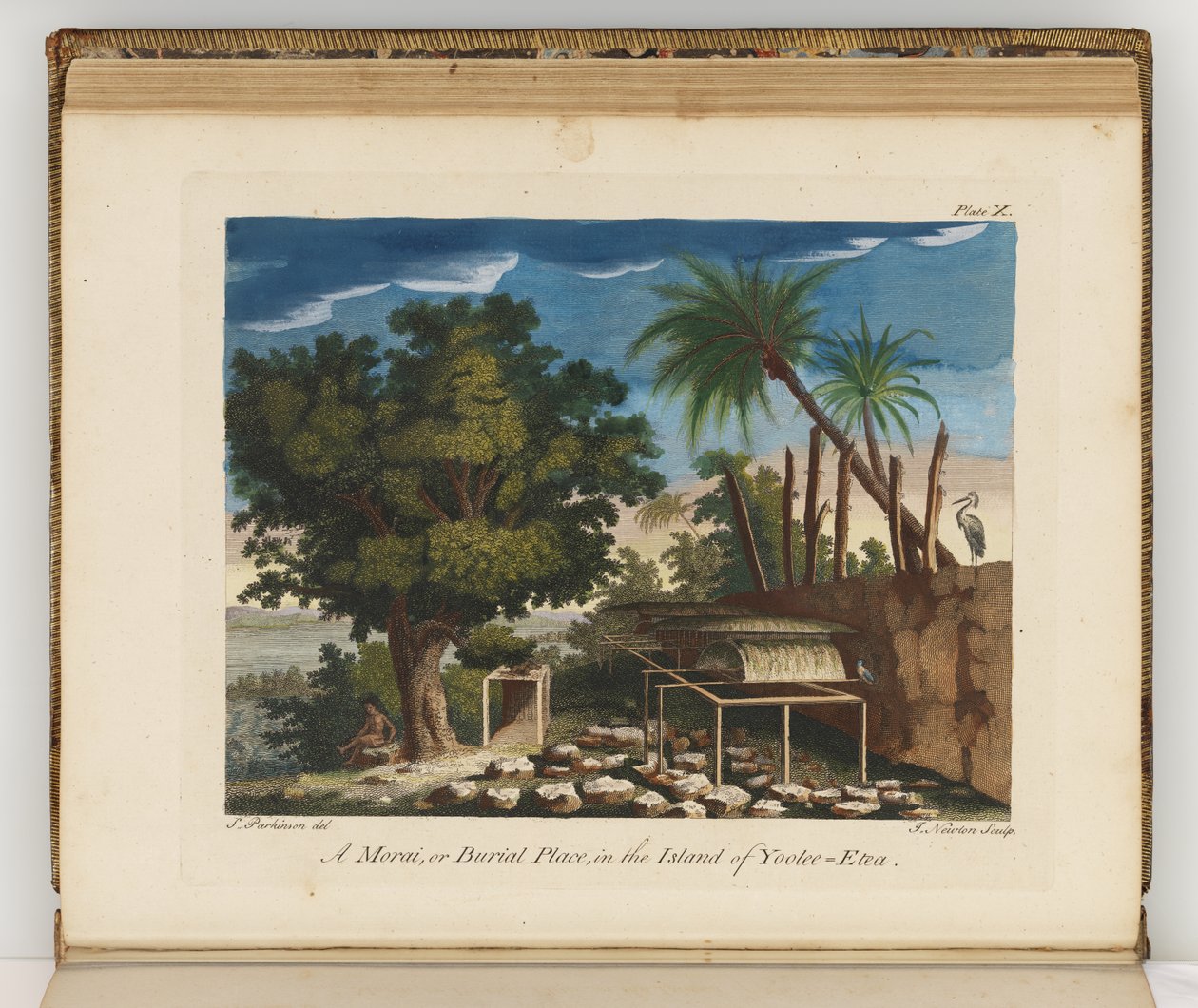 从一艘航行到南海的杂志的插图：在他的Majestys船上，奋进号，1794（手工彩色雕刻） 作者 雪梨
