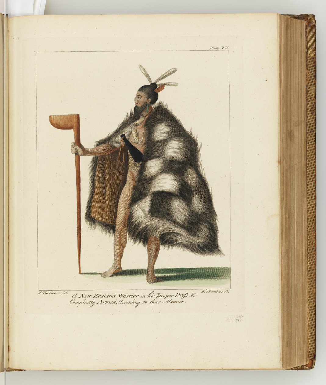 从一艘航行到南海的杂志的插图：在他的Majestys船上，奋进号，1794（手工彩色雕刻） 作者 雪梨