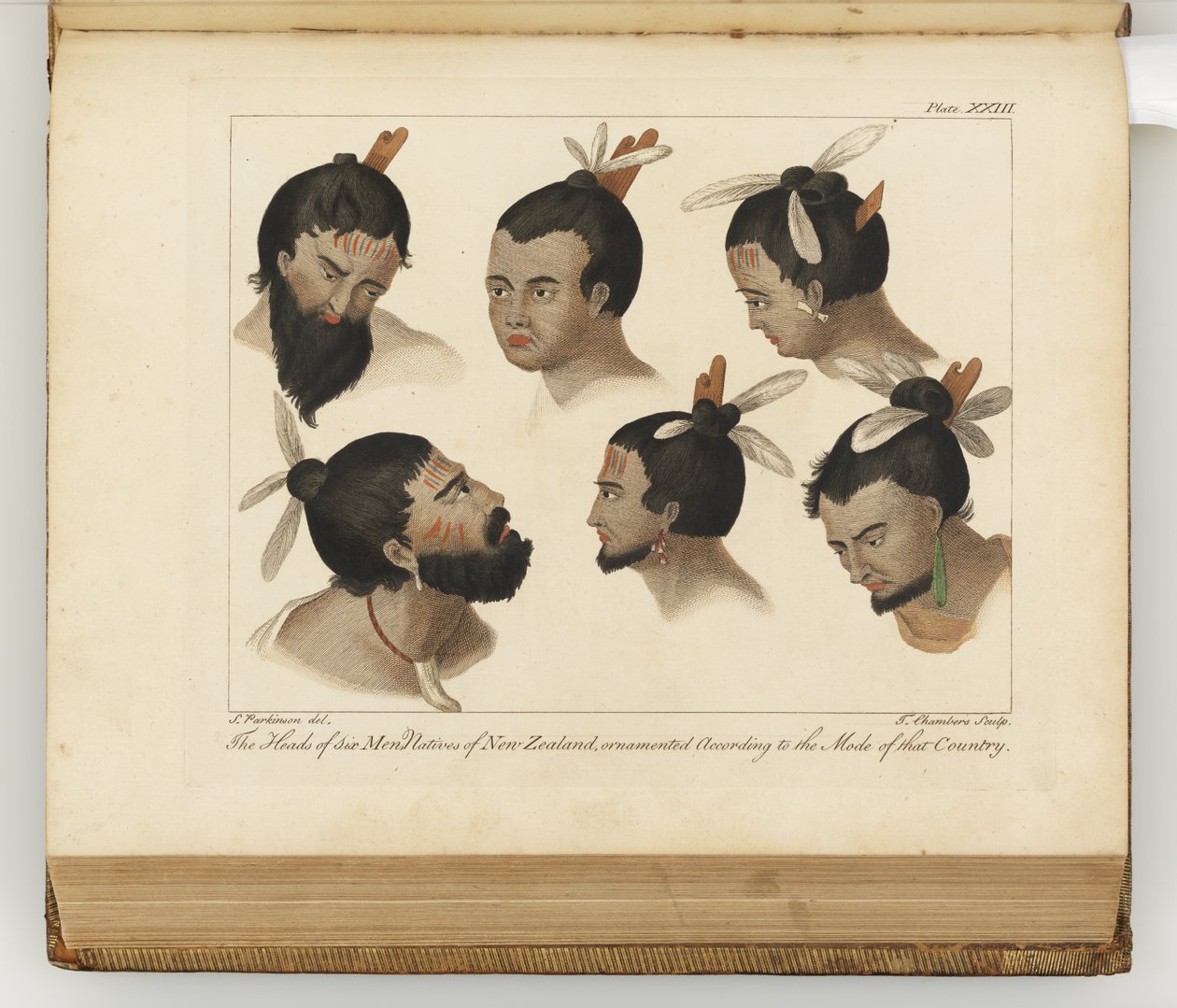 六个人的头像，从一艘航行到南海的日记：在他的Majestys船上，奋进号，1794（手工彩色雕刻） 作者 雪梨