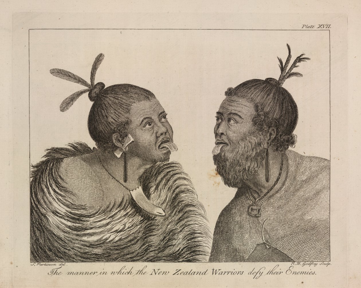 L.R.294.c.7,plate XVII 新西兰勇士 作者 悉尼（之后）帕金森氏症