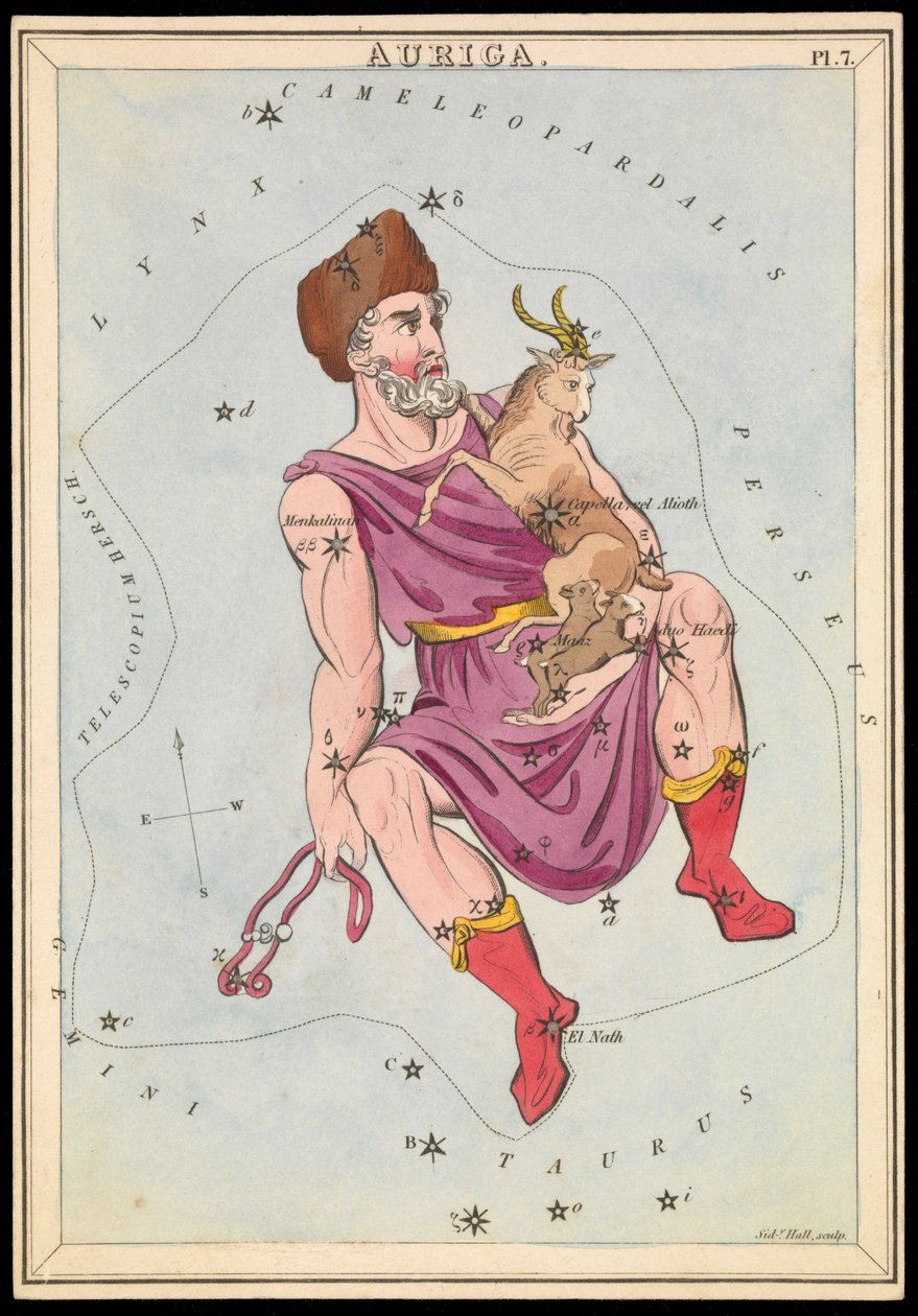 北极星，约 1825 年（卡片、纸、纸巾） 作者 悉尼音乐厅