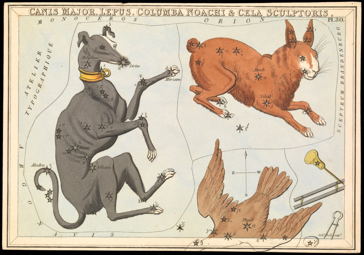 Canis Major.Lepus、Columba Noachi 和 Cela Sculptoris，约 1825 年（卡片、纸、纸巾） 作者 悉尼音乐厅