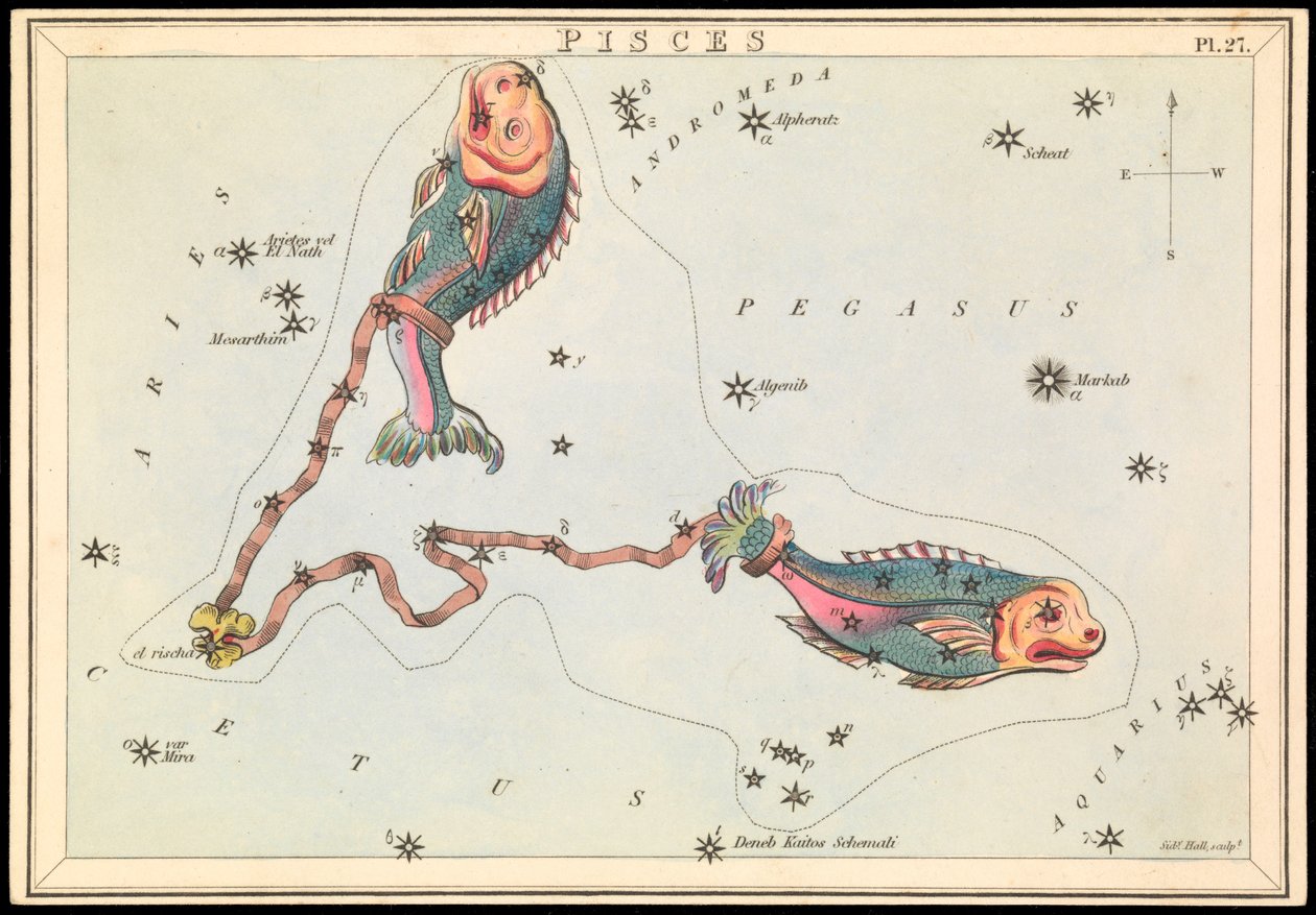 双鱼座，约 1825 年（卡片、纸、纸巾） 作者 悉尼音乐厅