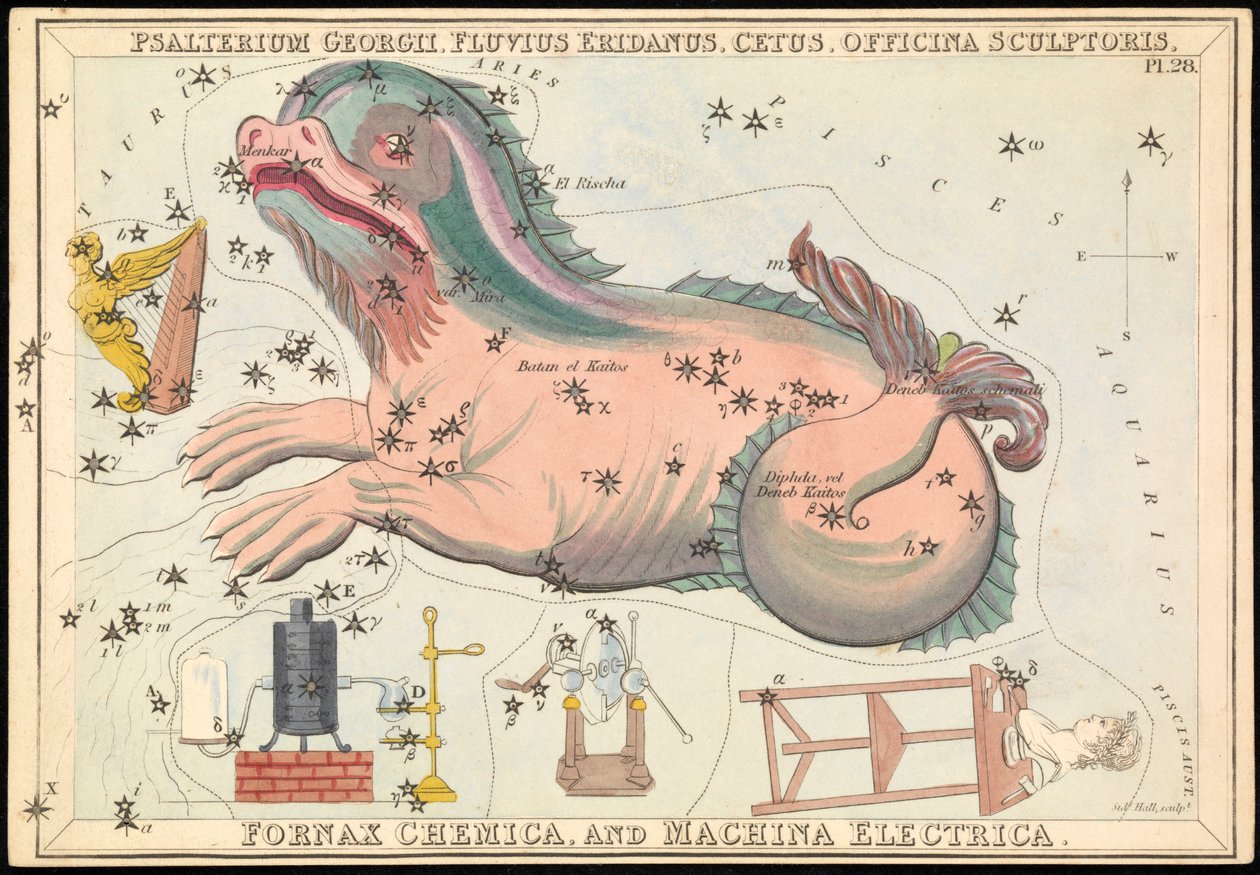 Psalterium Georgii, Fluvius Eridanus, Cetus, Officina Sculptories, Fornax Chemica and Machina Electrica, c.1825 (card, paper, tissue ) 作者 悉尼音乐厅