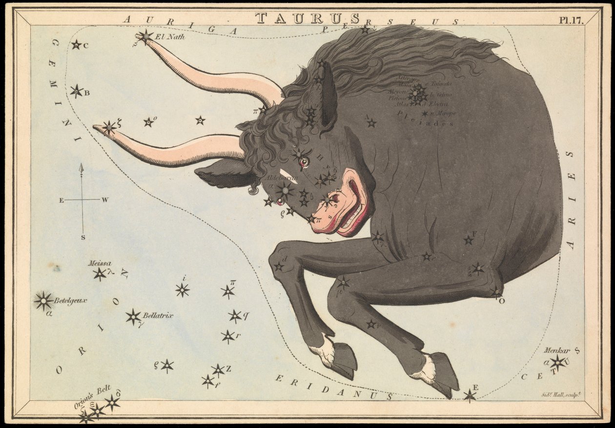 金牛座》，约 1825 年（卡片、纸、纸巾） 作者 悉尼音乐厅