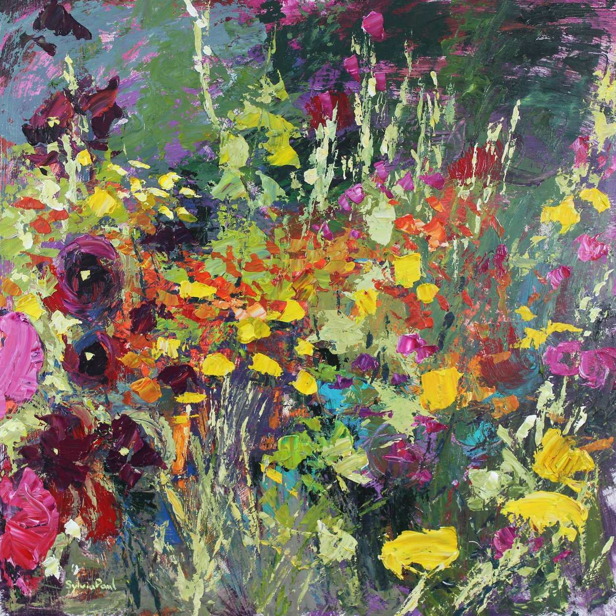 A Splash of Colour in the Garden 作者 西尔维娅·保罗