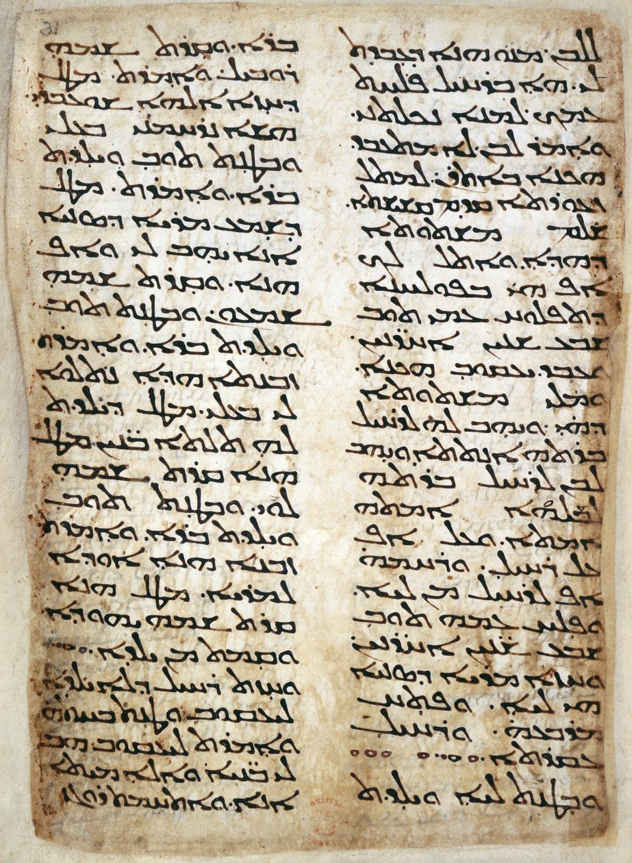 加页。14425，f.31，五经文本页。(创世纪》、《出埃及记》、《民数记》、《申命记》），464（牛皮纸） 作者 叙利亚叙利亚