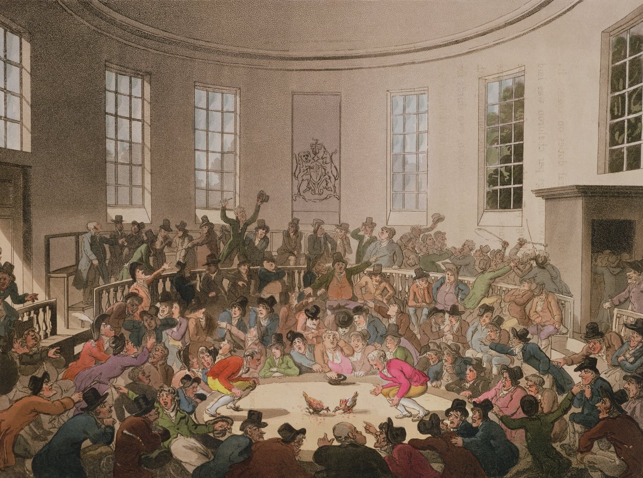 Royal Cock Pit，1808，由John Bluck雕刻（fl.1791-1819） 作者 普金和罗兰森