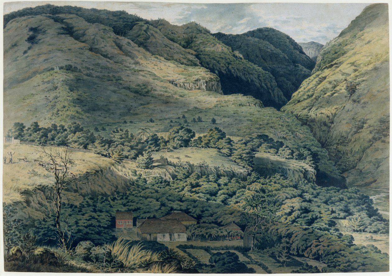 山沟和河在圣丹尼斯，波旁，1814年 作者 T.布拉德肖
