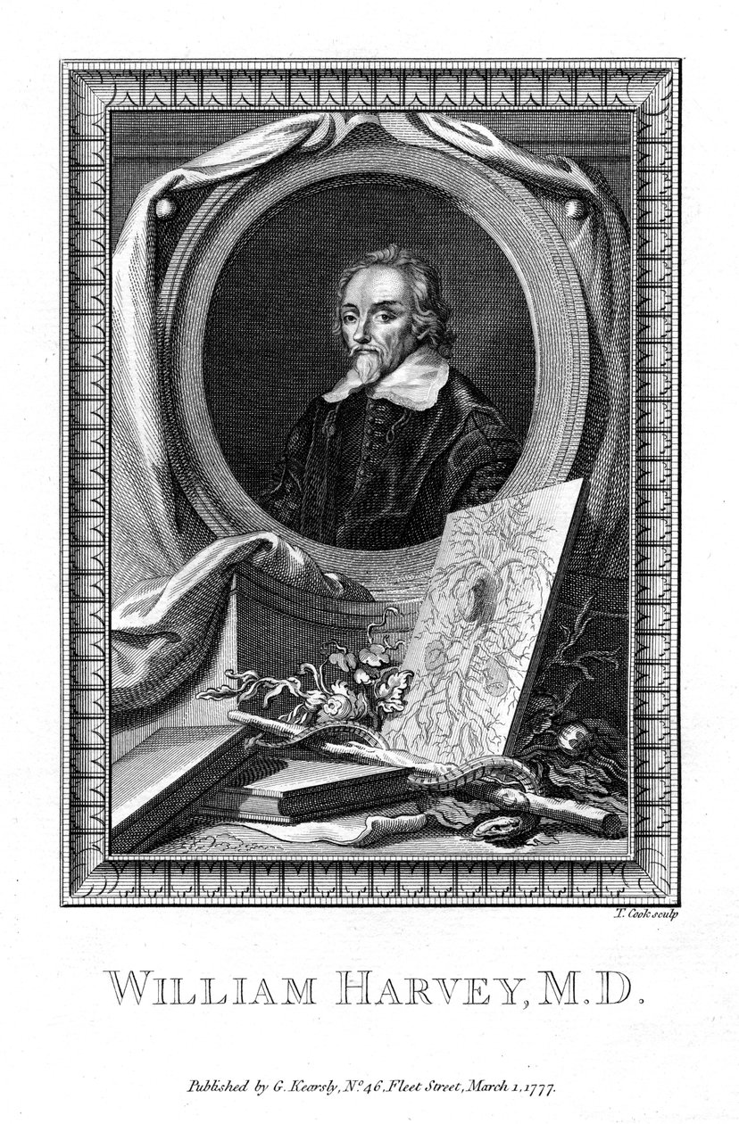 威廉·哈维（William Harvey），医生，1777年。 作者 库克